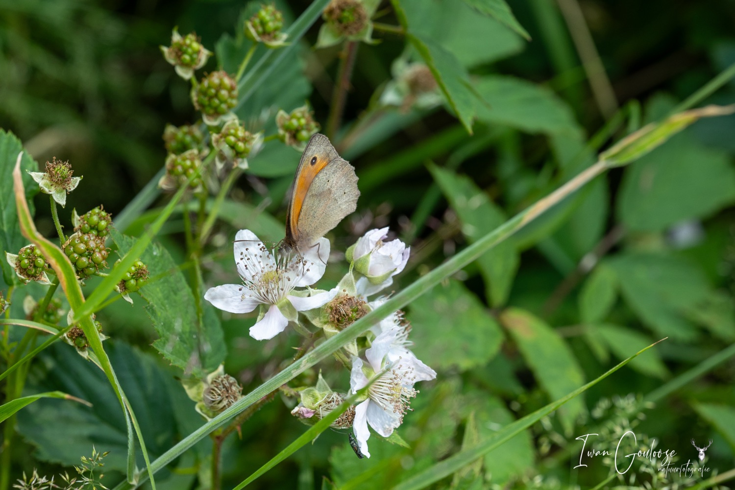 24 juni 2023 143340  R2A2288